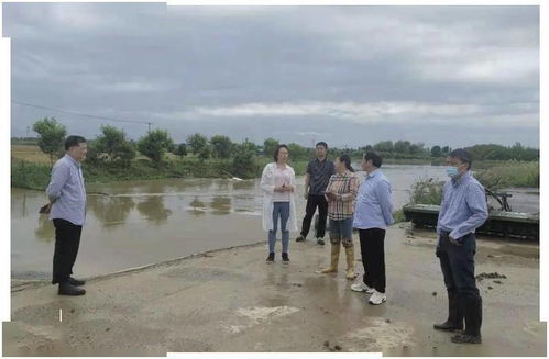 黃陂區(qū)科學(xué)應(yīng)對暴雨來襲，多措并舉筑牢防汛排澇安全防線